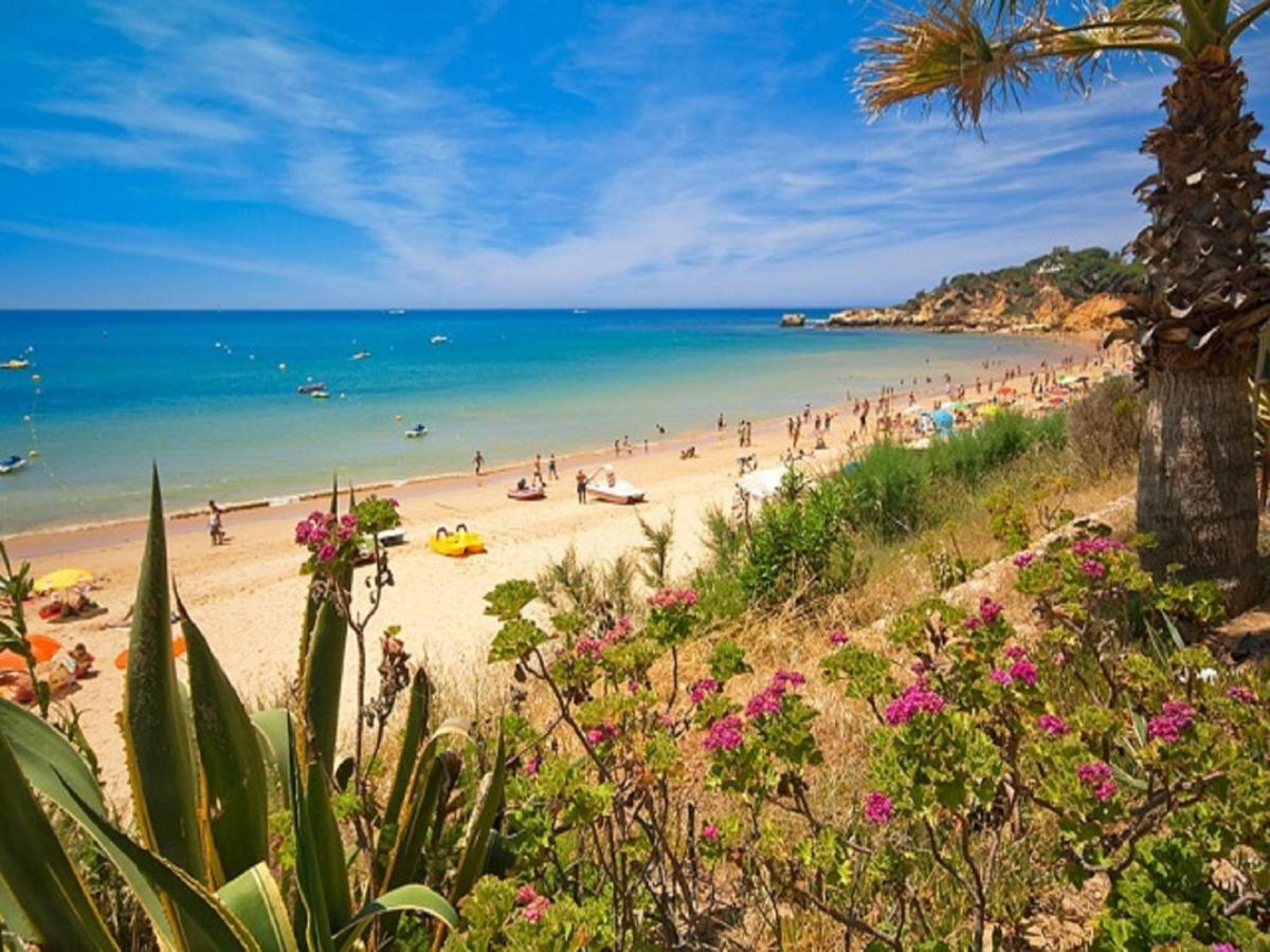 V4, Villa Jardins Branqueira Near Beach, Albufeira Buitenkant foto