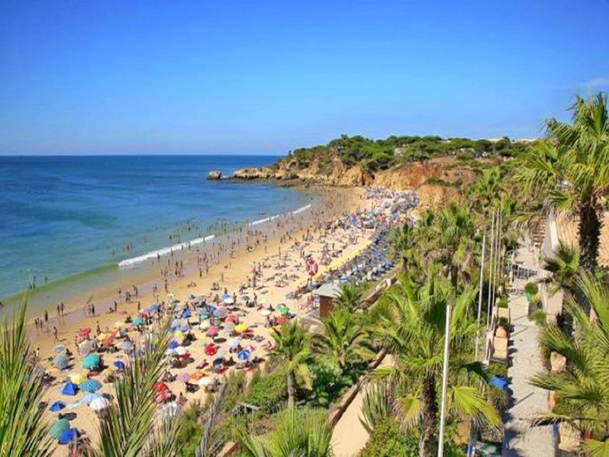 V4, Villa Jardins Branqueira Near Beach, Albufeira Buitenkant foto